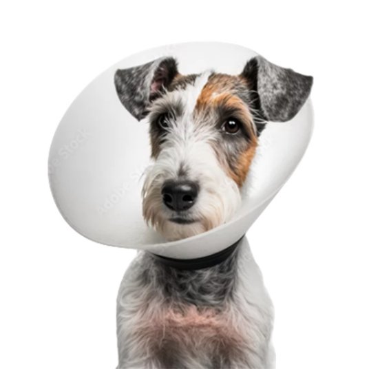 Selected group image