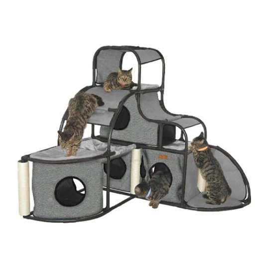 Selected group image