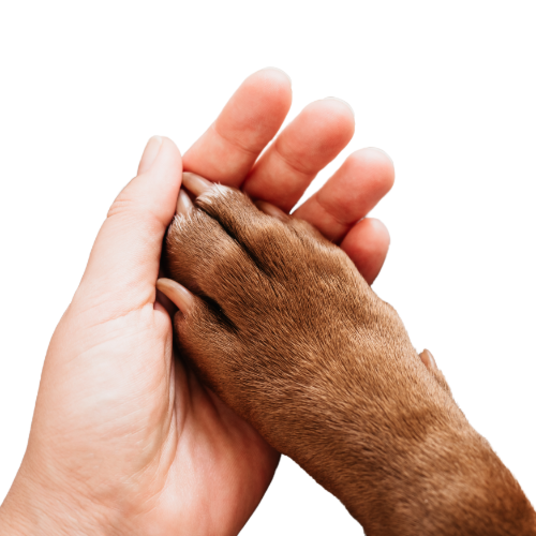 Selected group image