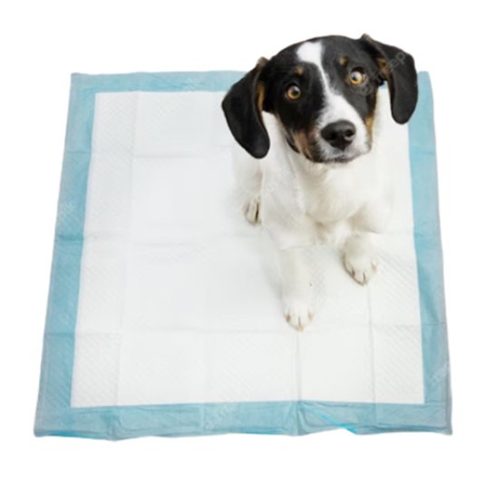 Selected group image