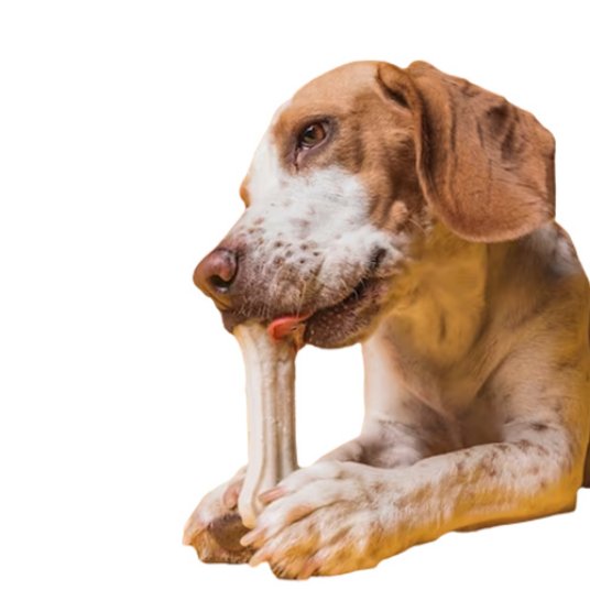 Selected group image