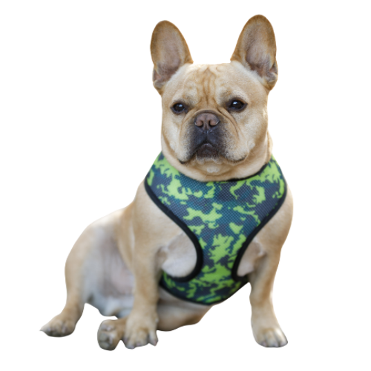 Selected group image