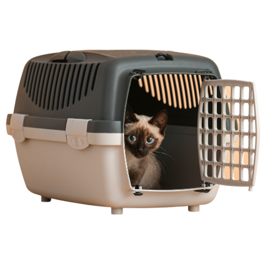 Selected group image