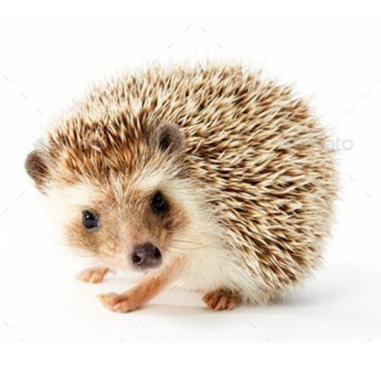 Selected group image