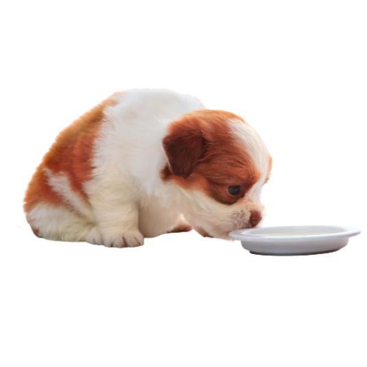 Selected group image