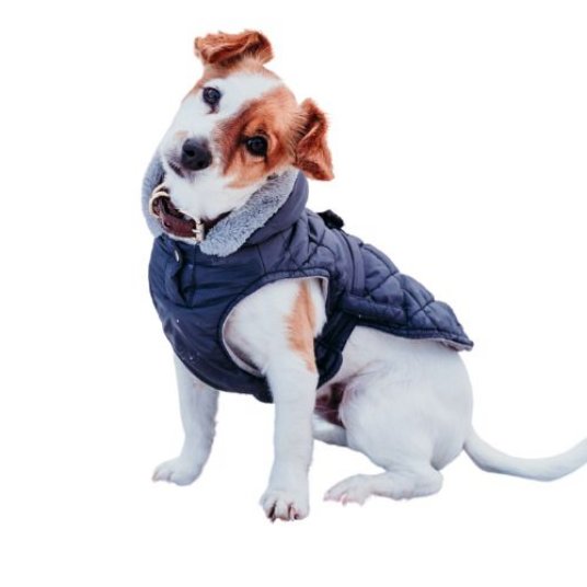 Selected group image