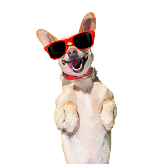 Selected group image