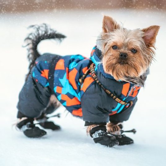 Selected group image