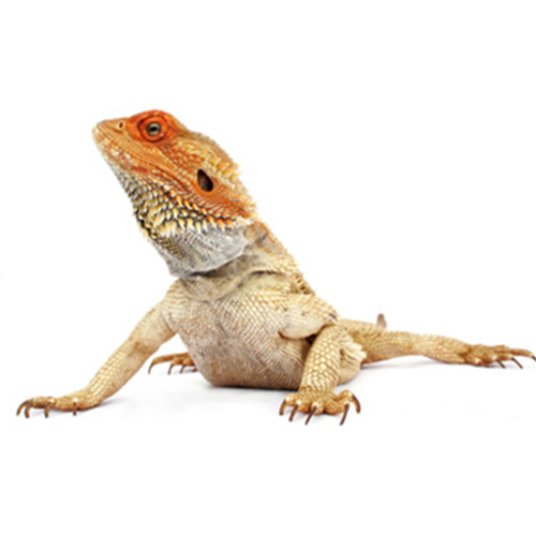 Selected group image