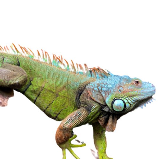 Selected group image