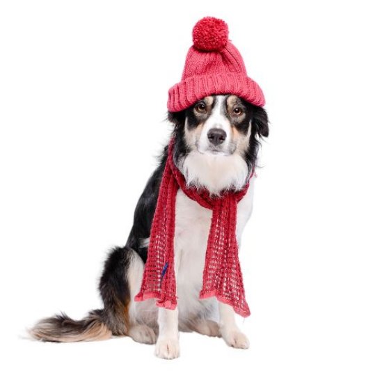 Selected group image