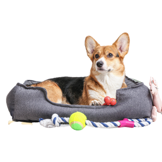 Selected group image