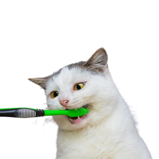 Selected group image