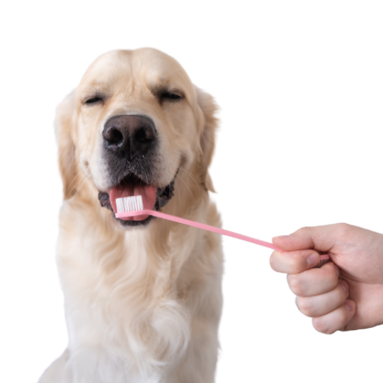 Selected group image