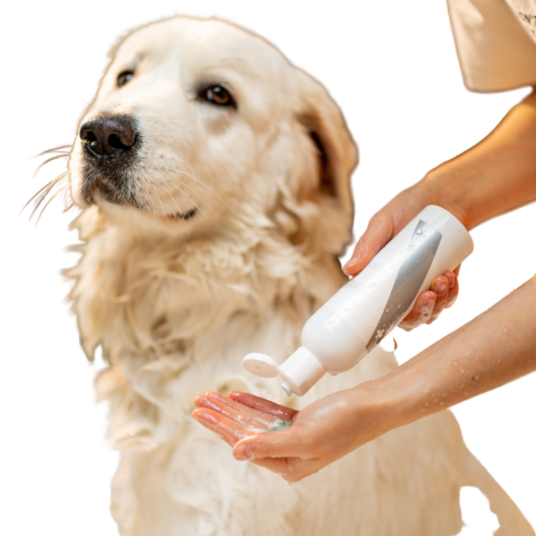 Selected group image