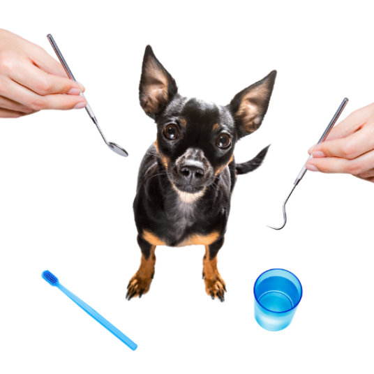 Selected group image