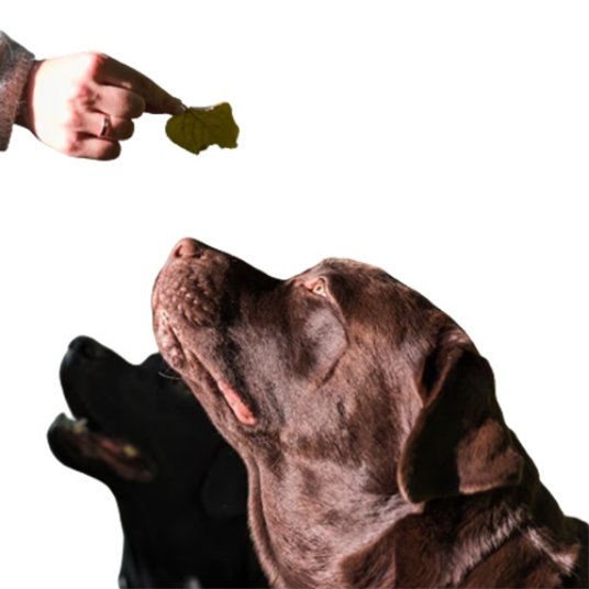 Selected group image