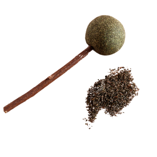 Selected group image