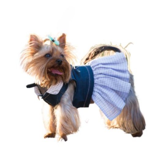 Selected group image