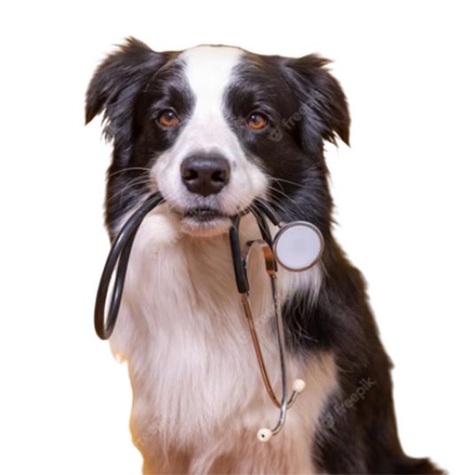 Selected group image