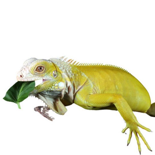 Selected group image