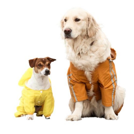 Selected group image