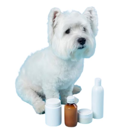 Selected group image