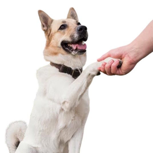 Selected group image