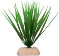 Ukras bamboo biljka SM