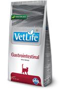 VL ND Cat Gastrointestinal