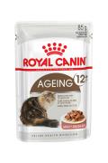 RC WET Ageing +12 85gr 12/1