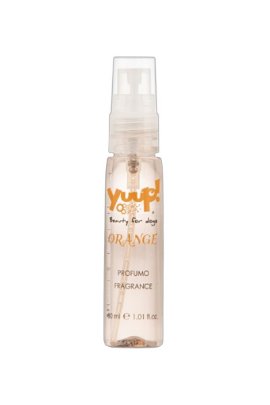 Refil Orange Fragances 30ml