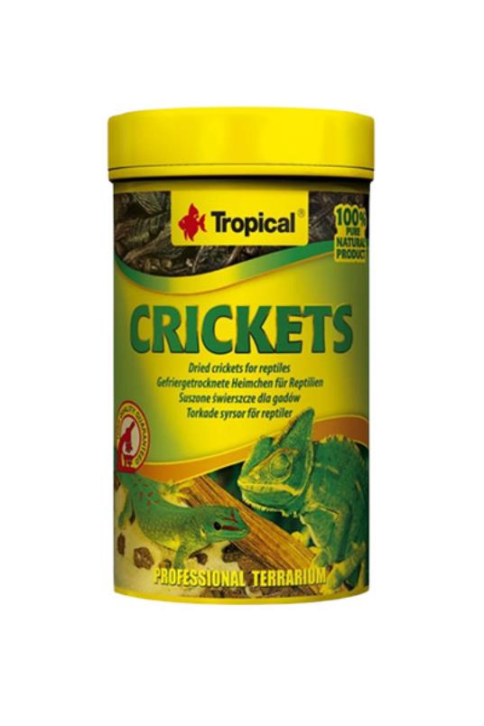 CRICKETS osuseni cvrcci, hrana za reptile 250 ml - 25 g