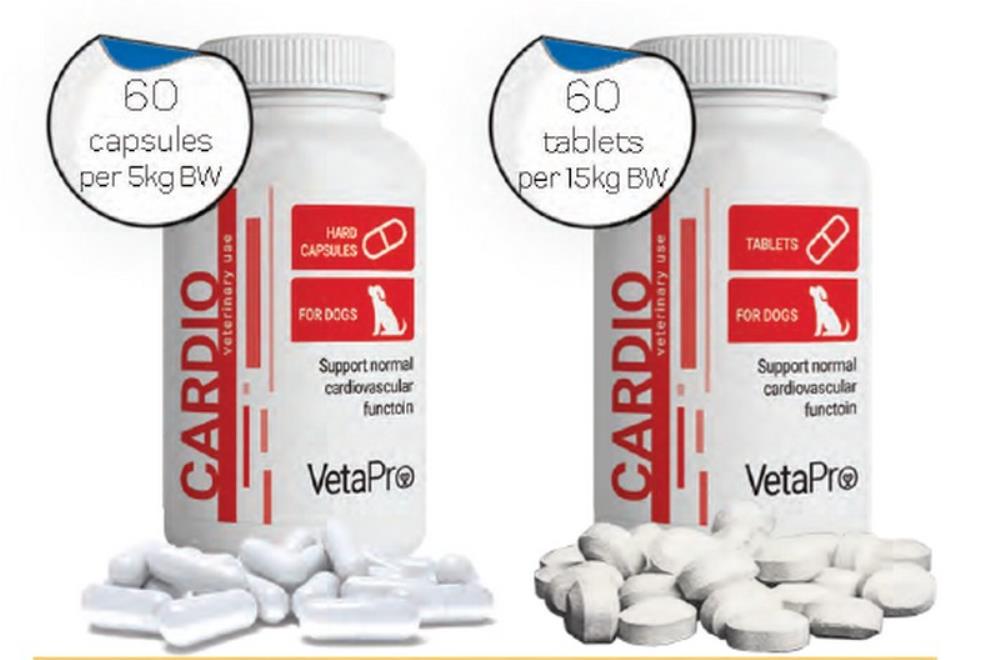 CARDIO 60 tablets 1tbl=1gr.