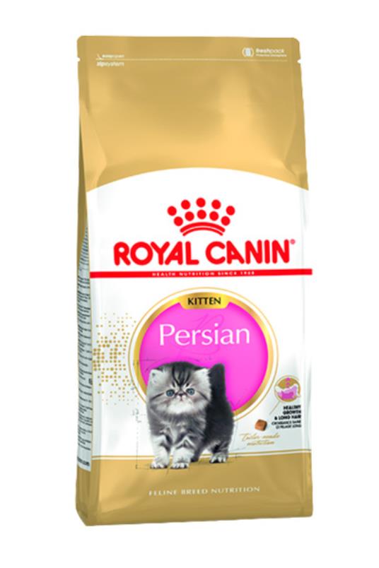 RC Kitten Persian 2kg