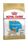 RC Chihuahua Puppy 0,5kg