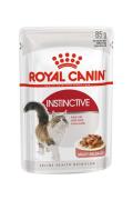 RC WET Instinctive 85gr 12/1