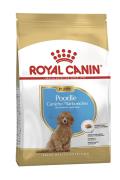 RC Poodle Puppy 0,5kg