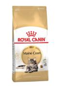 RC Mainecoon 2kg