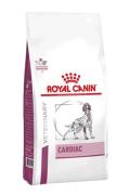 RC Cardiac Dog 2kg