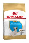 RC French Bulldog Puppy 1kg