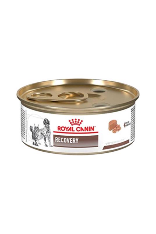 RC Recovery Dog/C195g konz