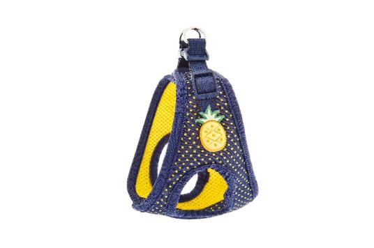 Am Pois ananas XS 25-30cm