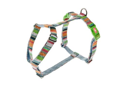 Am Rainbow 15mmx45-60cm