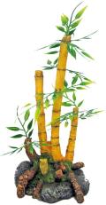 Dekoracija biljka Japan bamboo