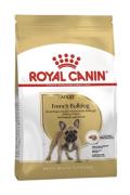 RC French Bulldog 1,5kg