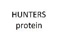 Hunters Protein 31/13 20kg