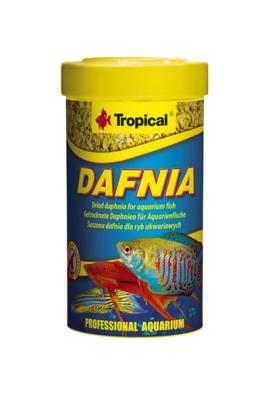 DAFNIA NATURALNA osusena dafnija, hrana za ribe