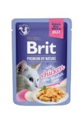 Brit Premium sos za macice u sosu piletina 85 g