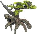 D.Japan bonsai drvo